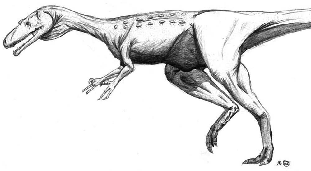 Шуанбаизавр. Shuangbaisaurus anlongbaoensis