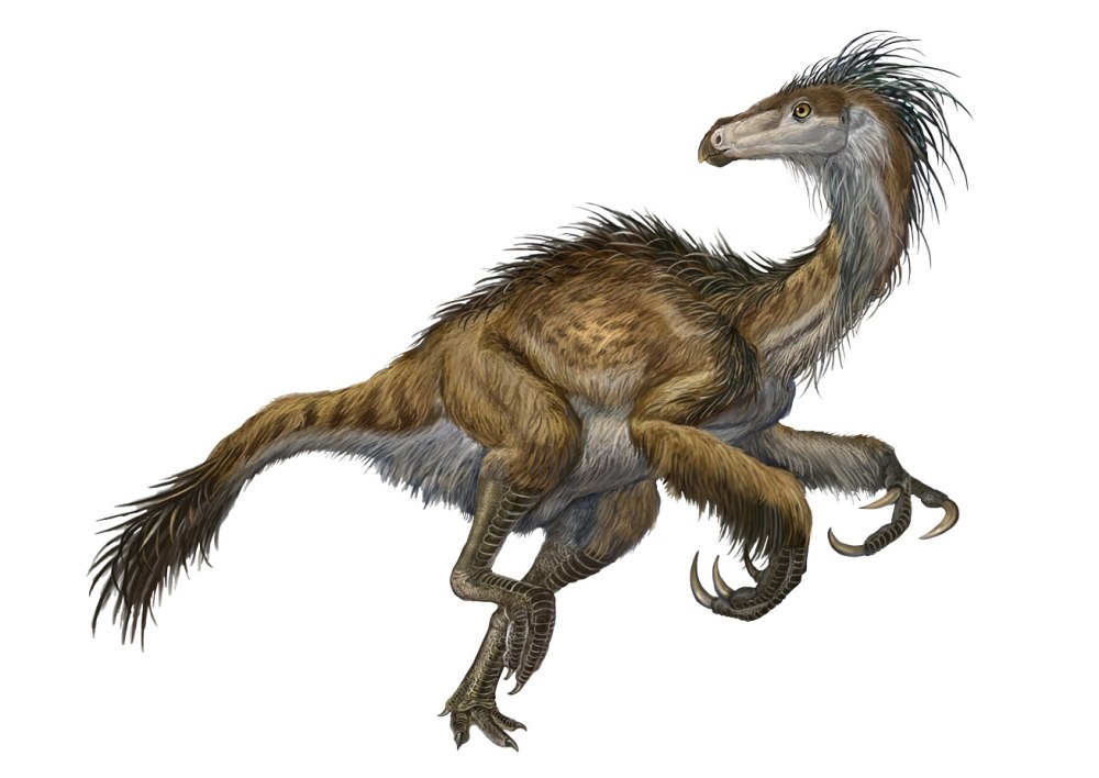 Beipiaosaurus inexpectus