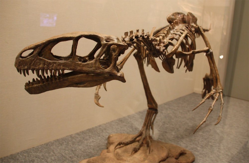 Deinonychus скелет