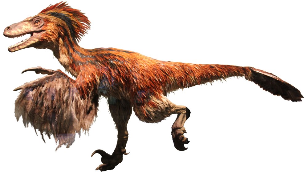 Дейноних - Deinonychus - динозавры