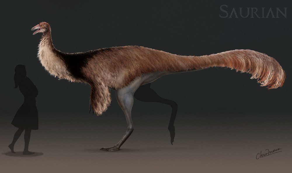 Орнитомимиды Saurian