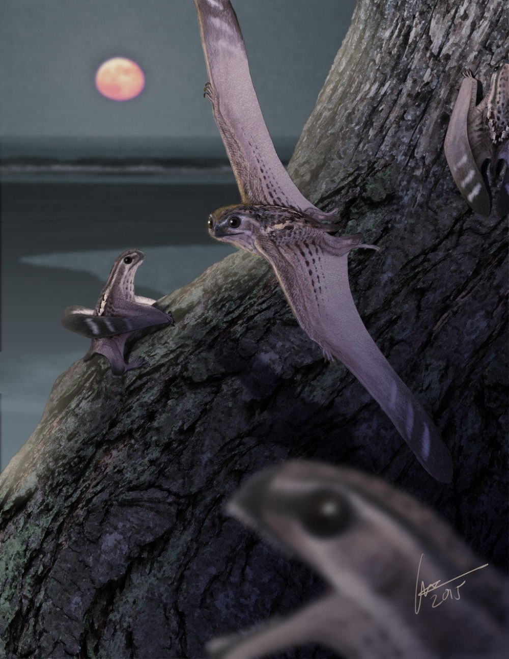 Anurognathus Ammoni