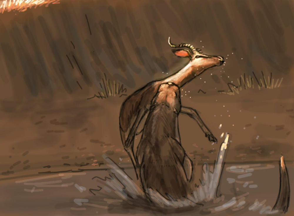 Enhydriodon dikikae