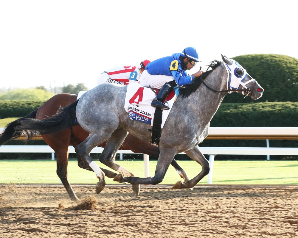 Belmont stakes 2021