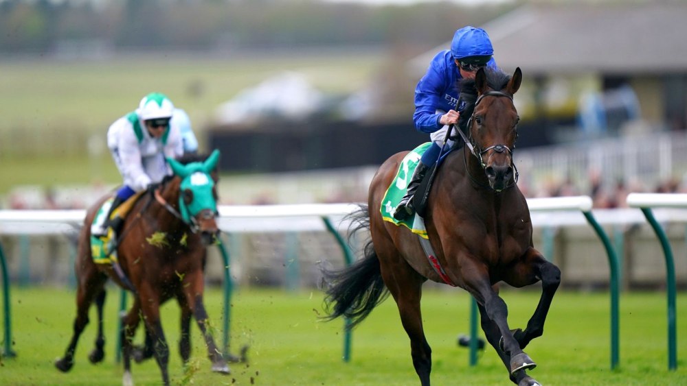 Frankie de Torri Horse Racing Godolphin