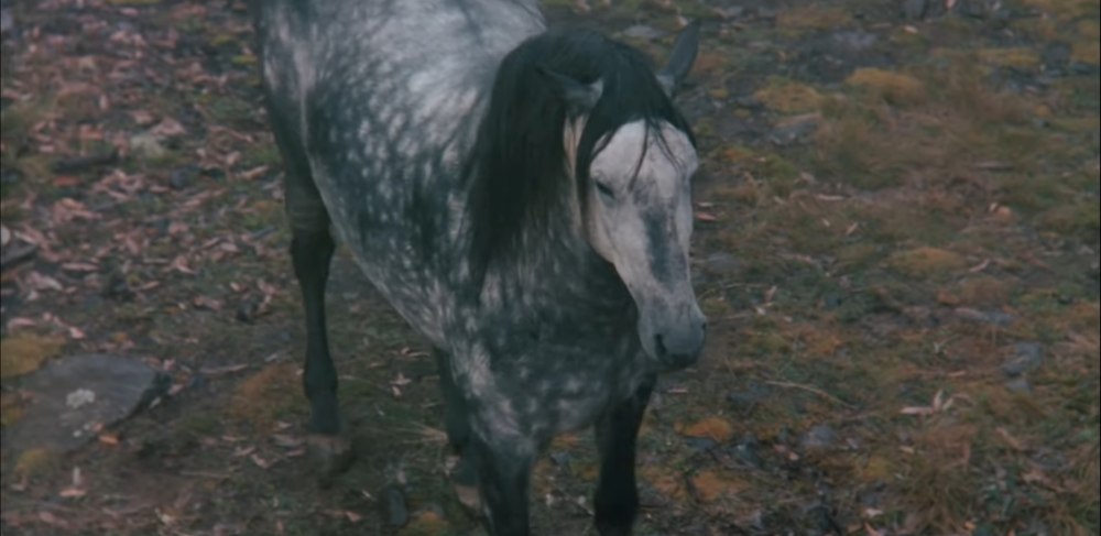 Серебряный ветер фильм