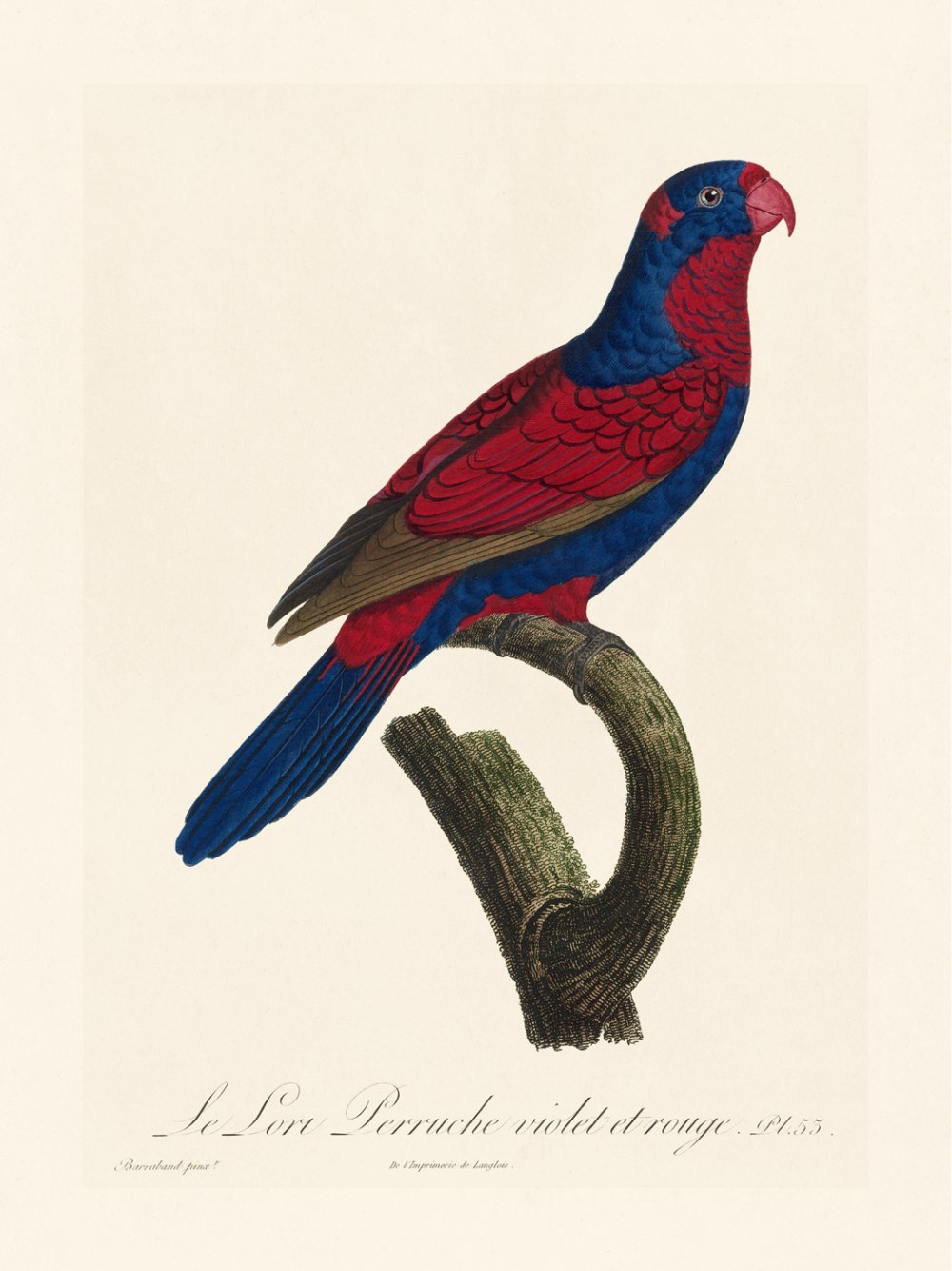 Jacques Barraband картины