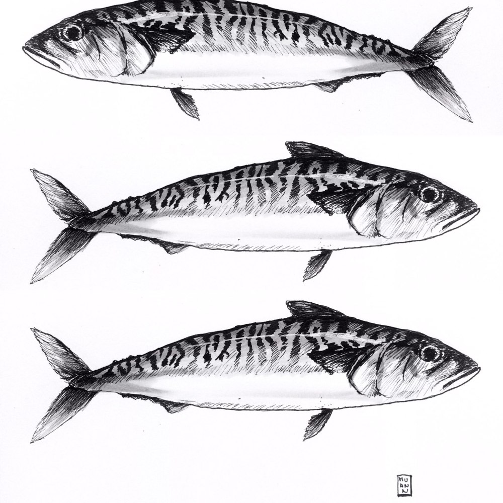 The Mackerel картина