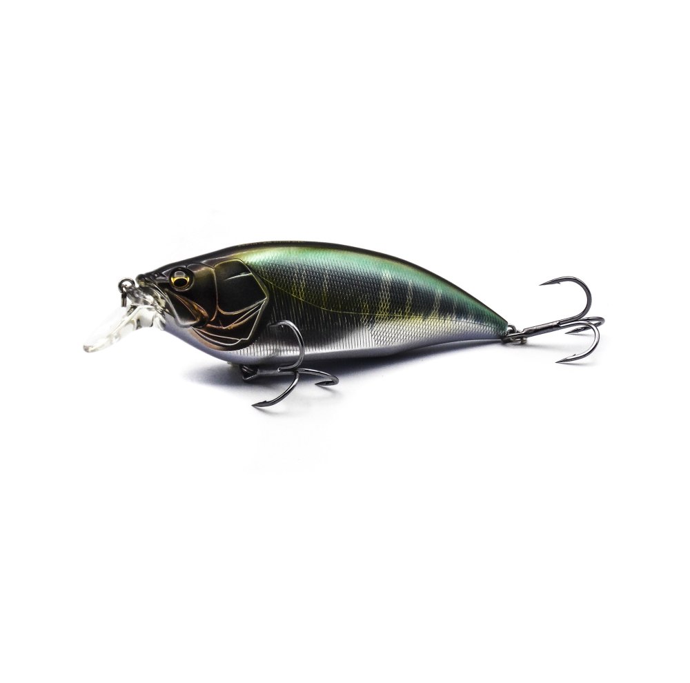 Megabass big - m 7.5 Eastern Chart