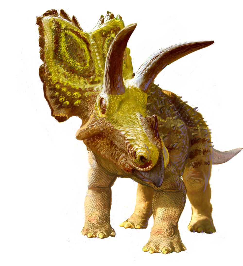 Коауилацератопс. Coahuilaceratops