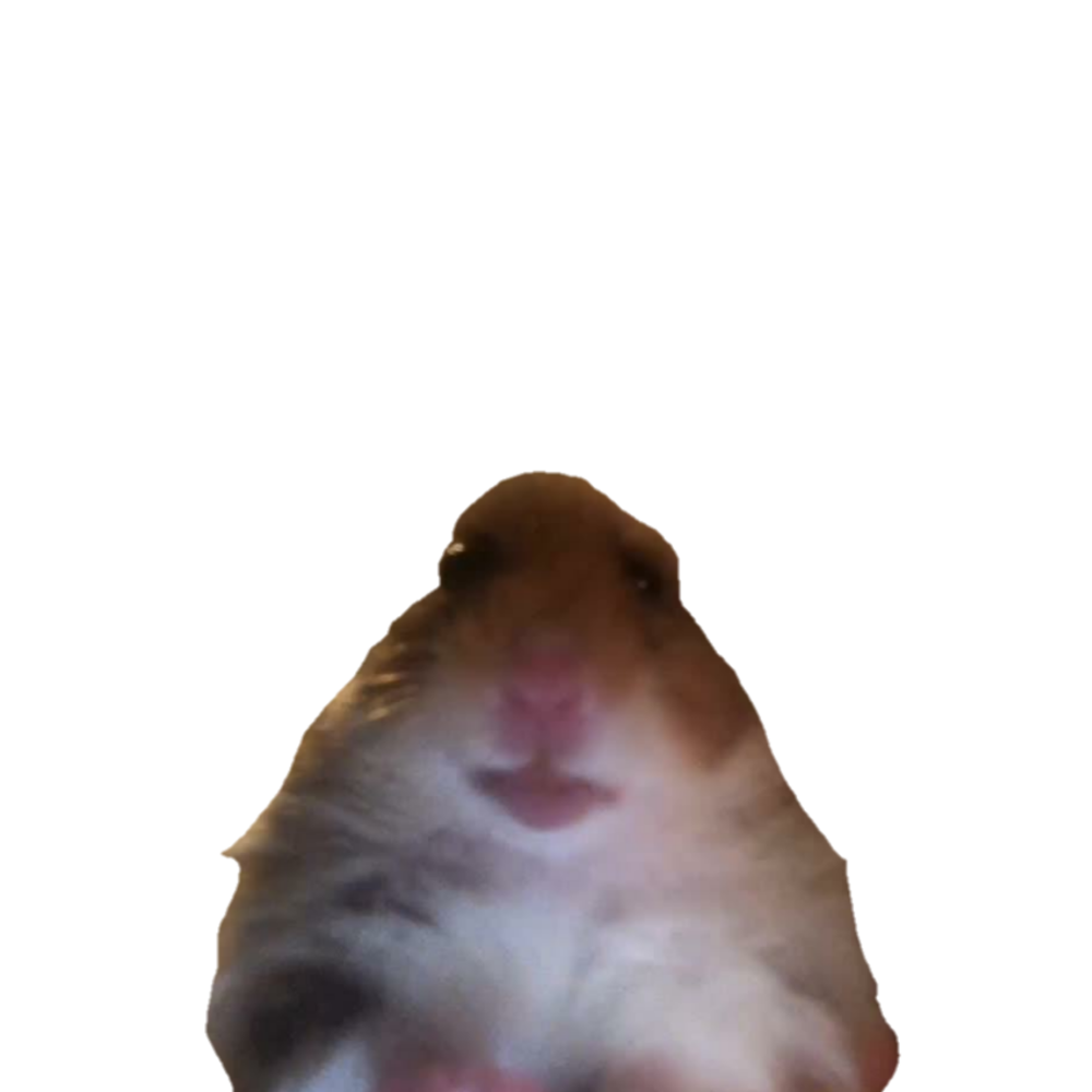 Голова хомяка