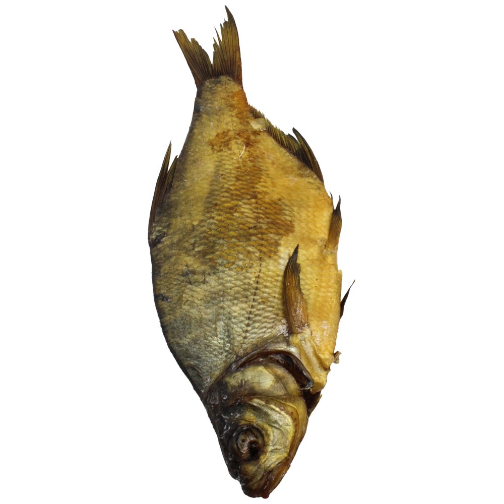 Морской лещ