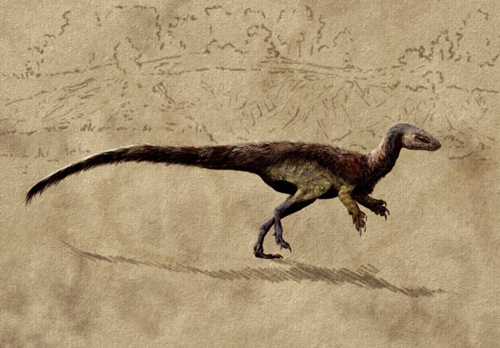Vespersaurus paranaensis