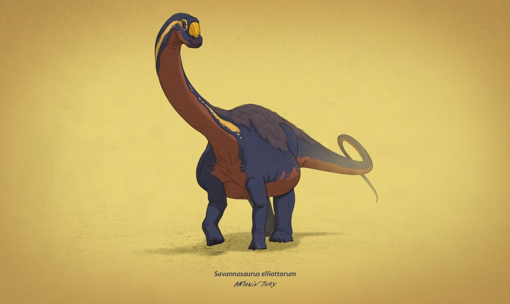 Ozraptor subotaii