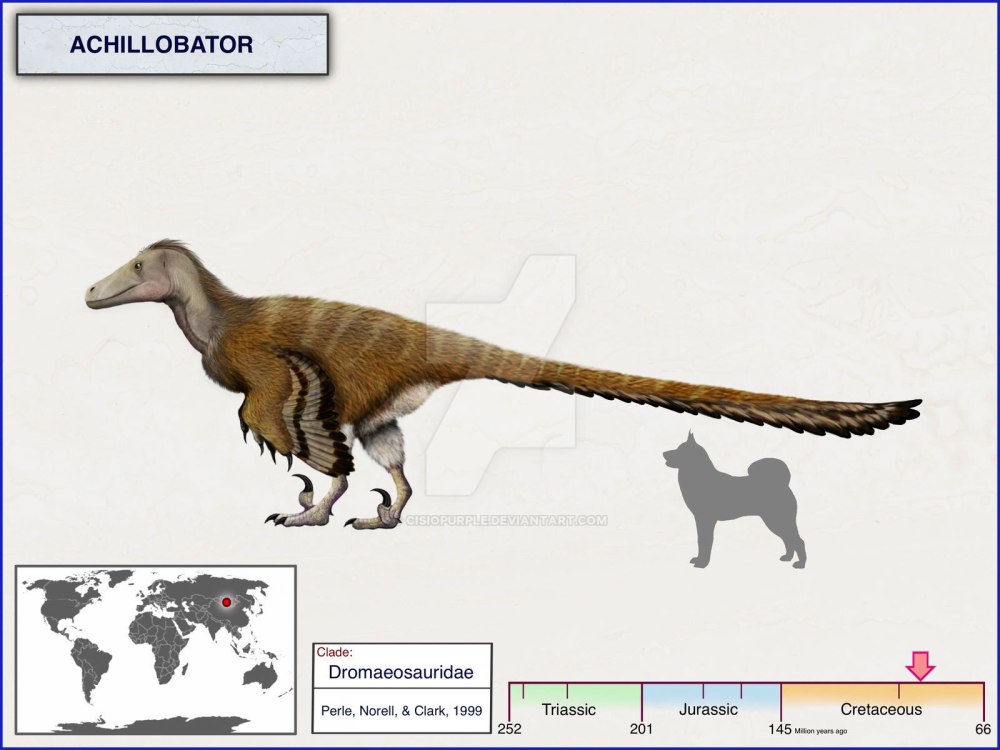 Achillobator. Размер
