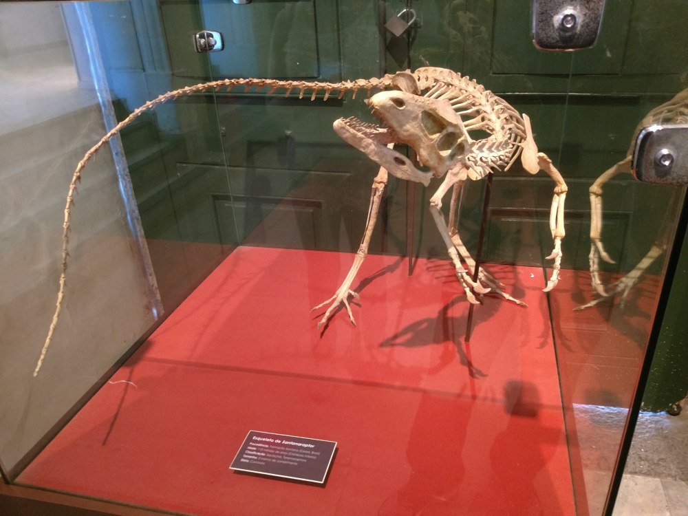 Ferroglobus Placidus