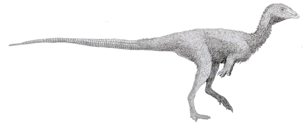 Dracoraptor hanigani