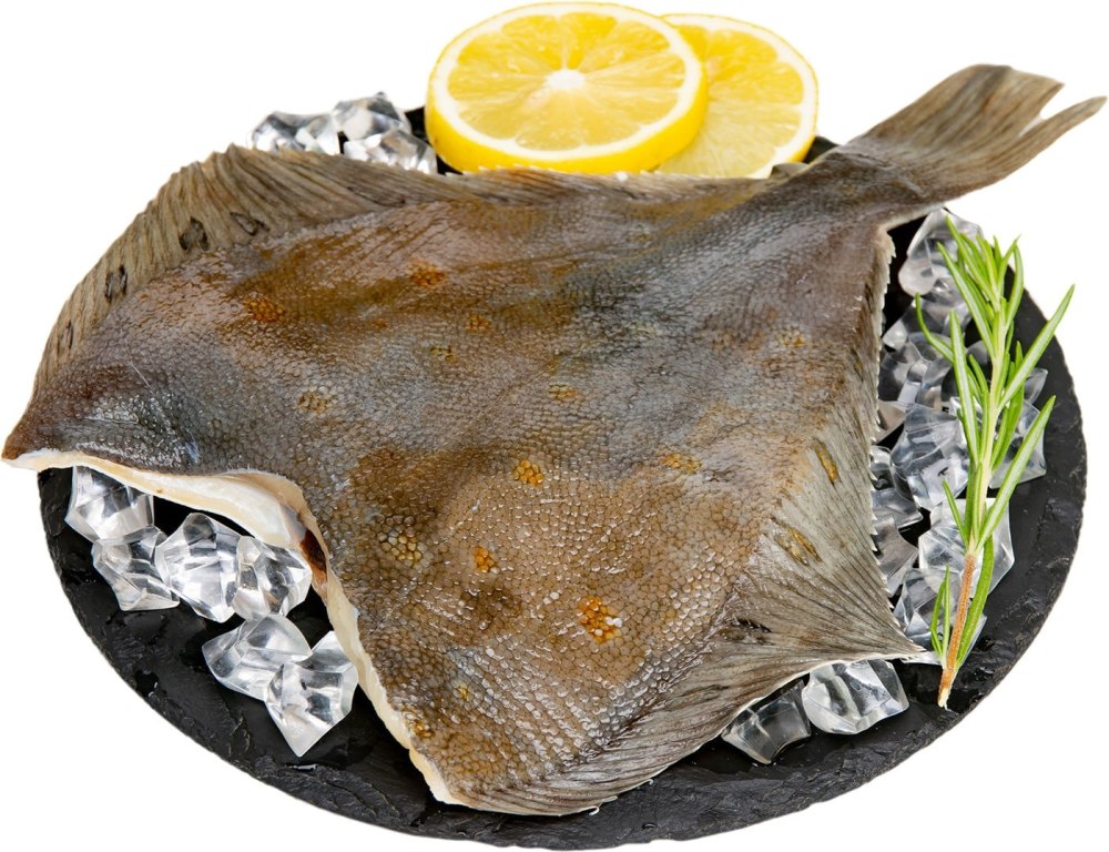 Камбала с/м