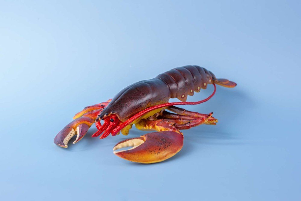 Обыкновенный Омар (Homarus vulgaris)