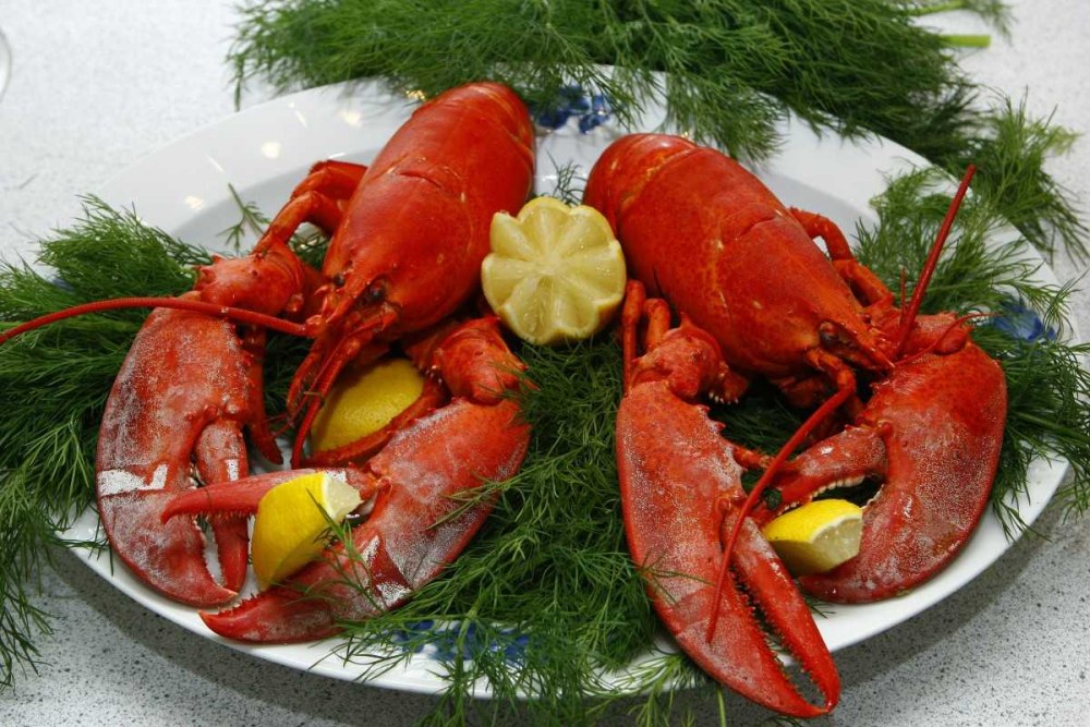 Морепродукты Омар лангуст