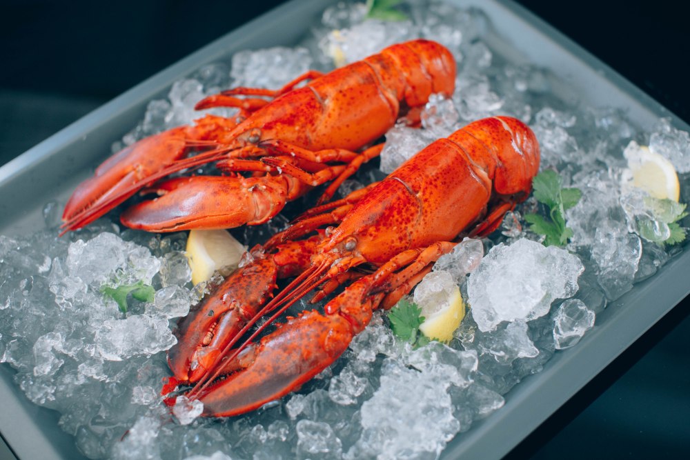 Boston Lobster