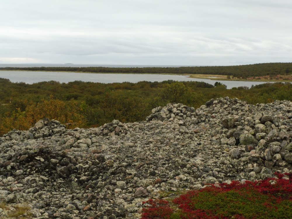 Чудь в Шенкурске