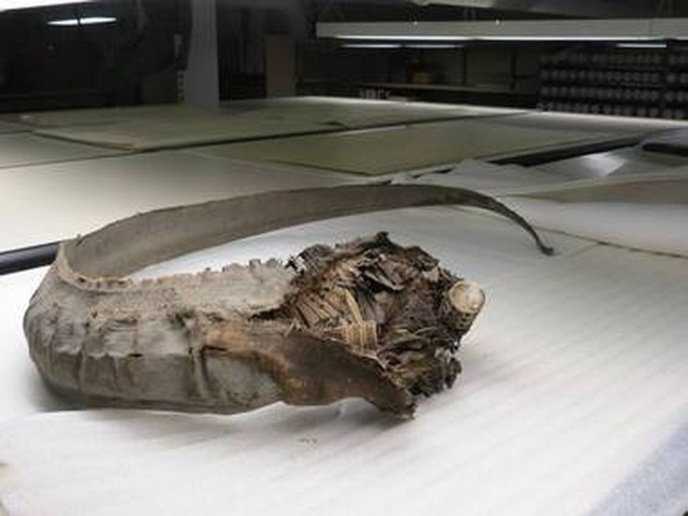 Titanoboa останки