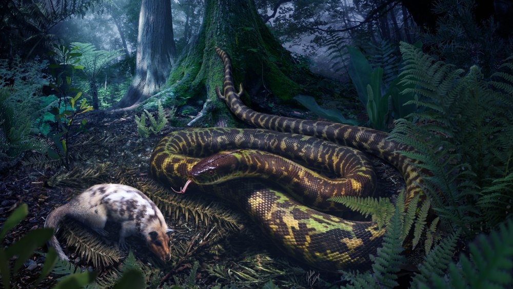 Julius Csotonyi