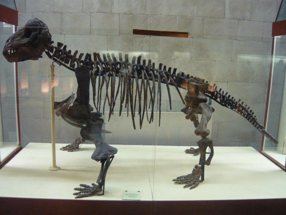 Ulemosaurus svijagensis (улемозавр)