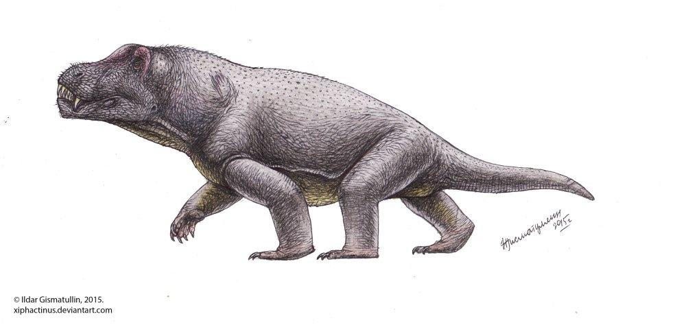 Антеозавры Anteosaurus magnificus