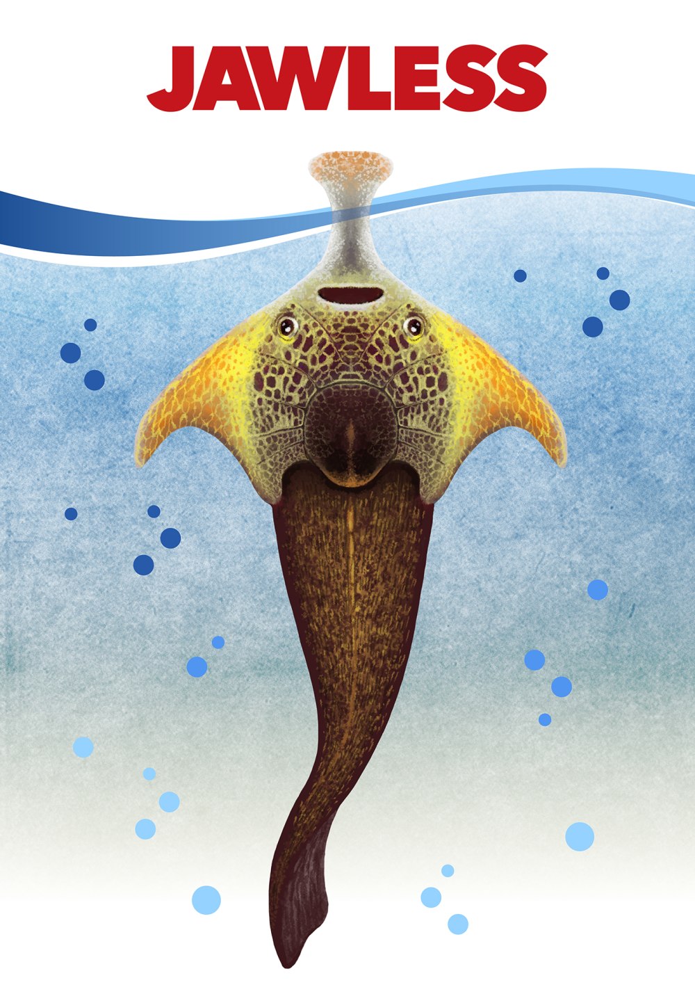 Jawless and jawed Fish