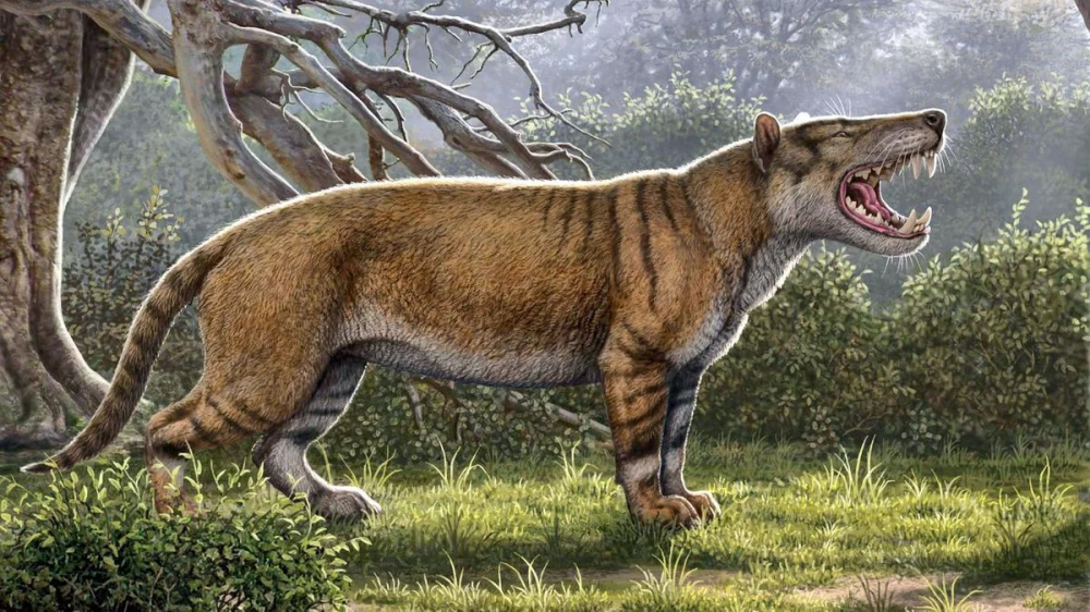 Simbakubwa kutokaafrika