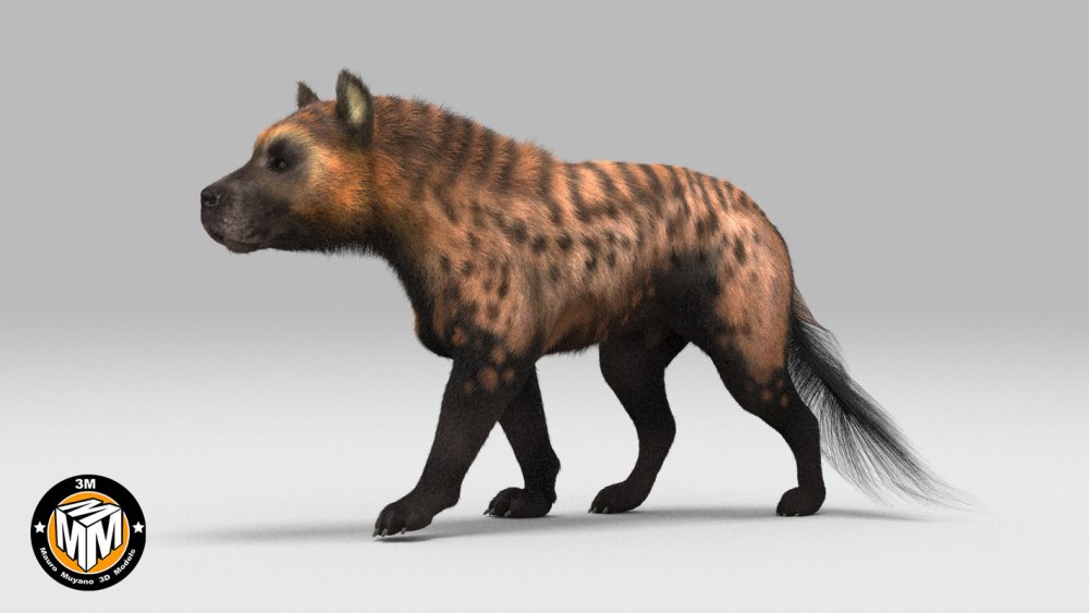 Protocyon Troglodites