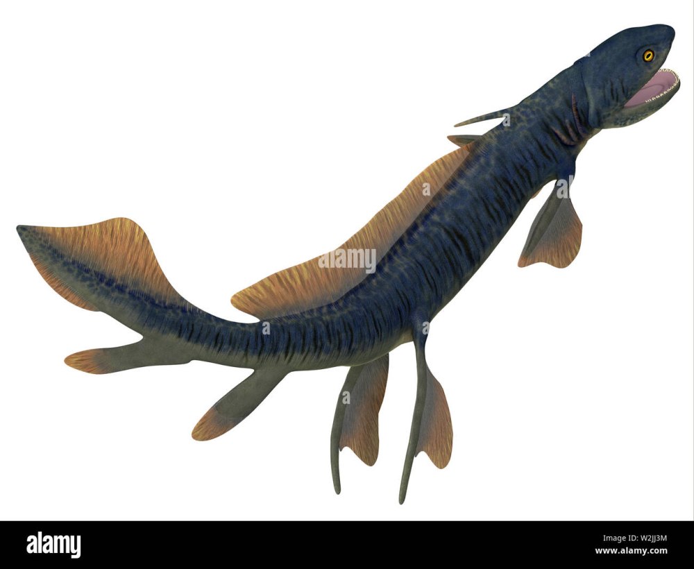 Акулы Orthacanthus