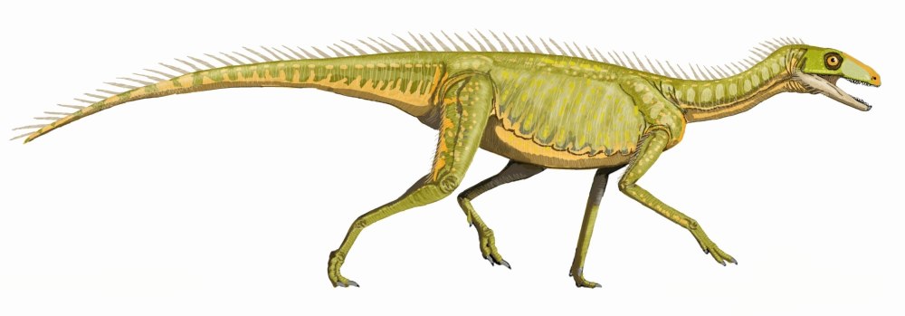 Силезавр. Silesaurus opolensis