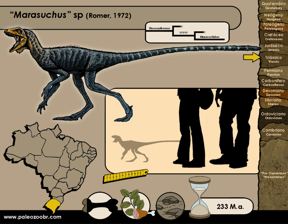 Ixalerpeton polesinensis