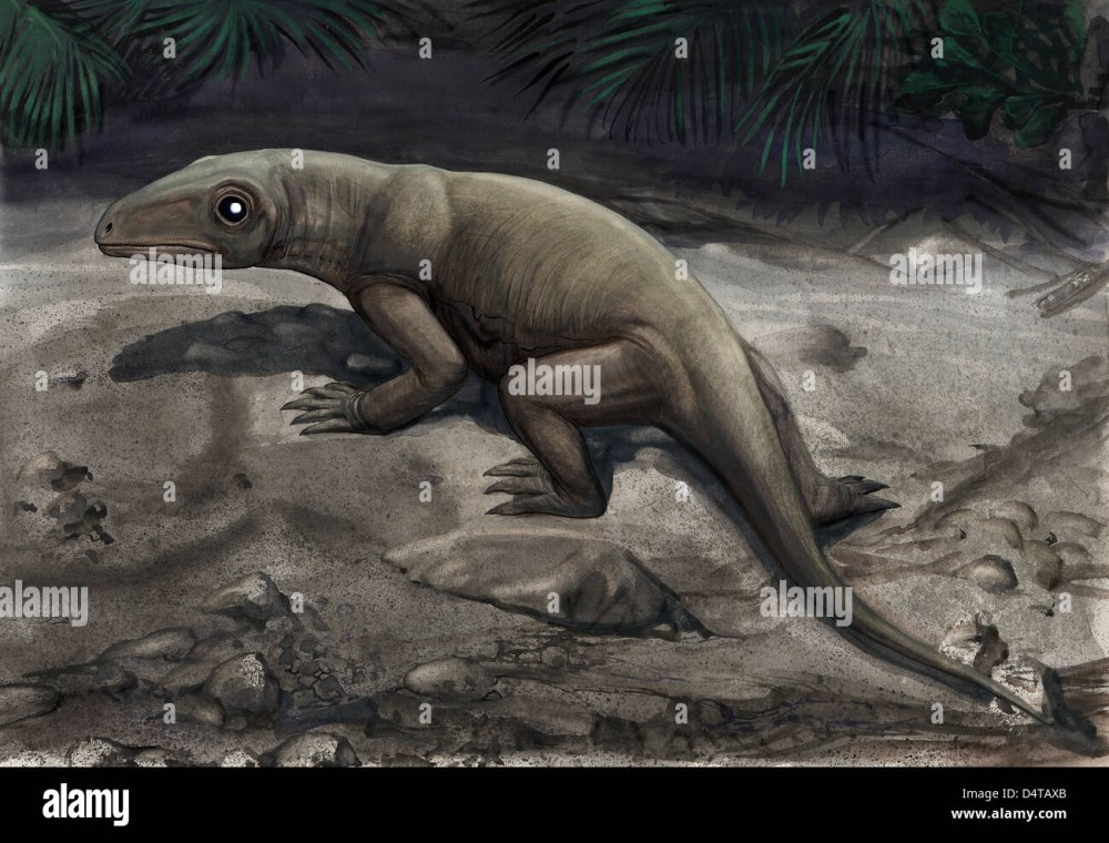 Nikkasaurus tatarinovi