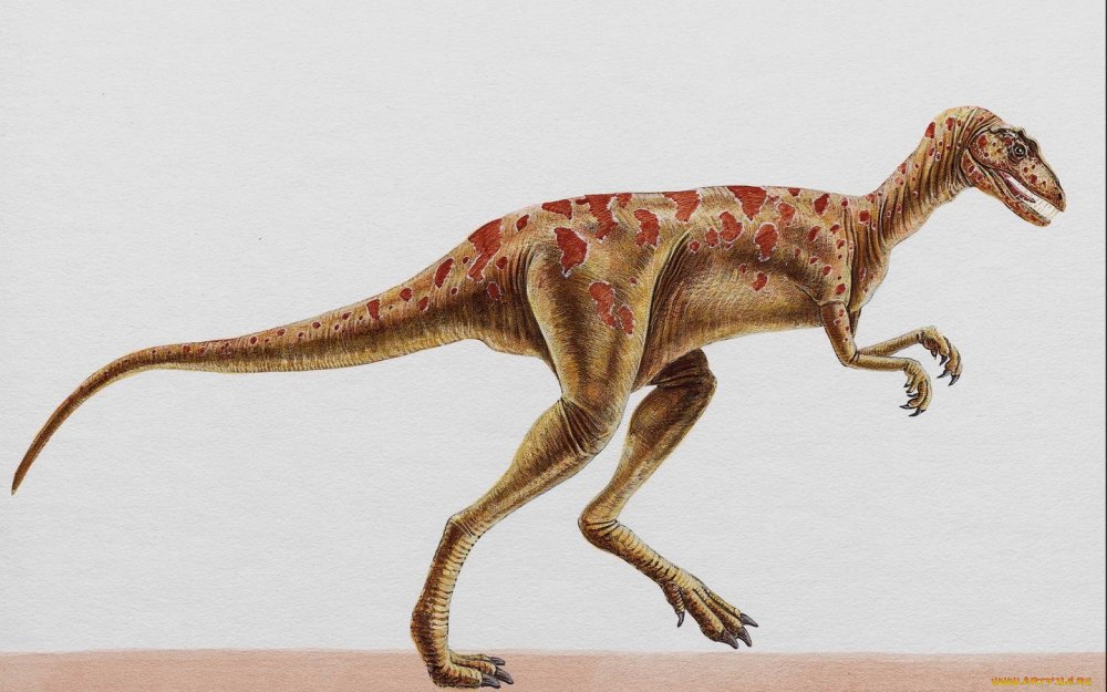 Eoraptor Lunensis