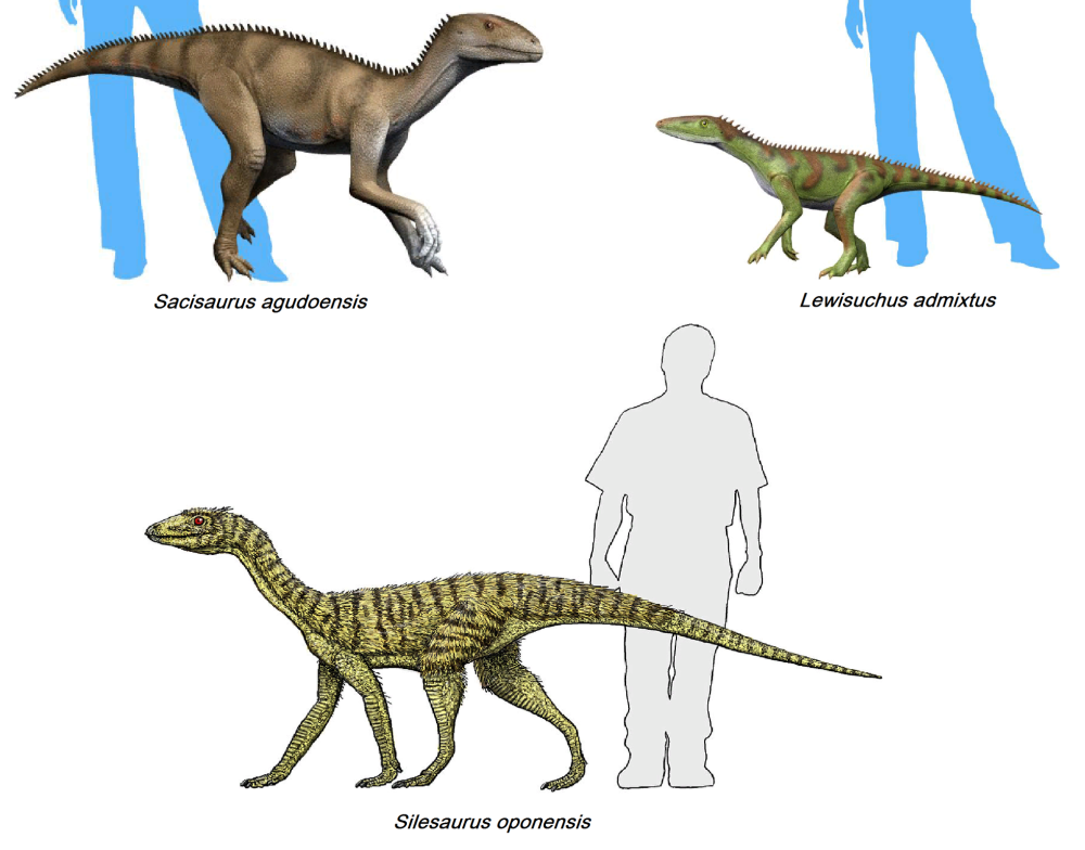 Силезавр. Silesaurus opolensis