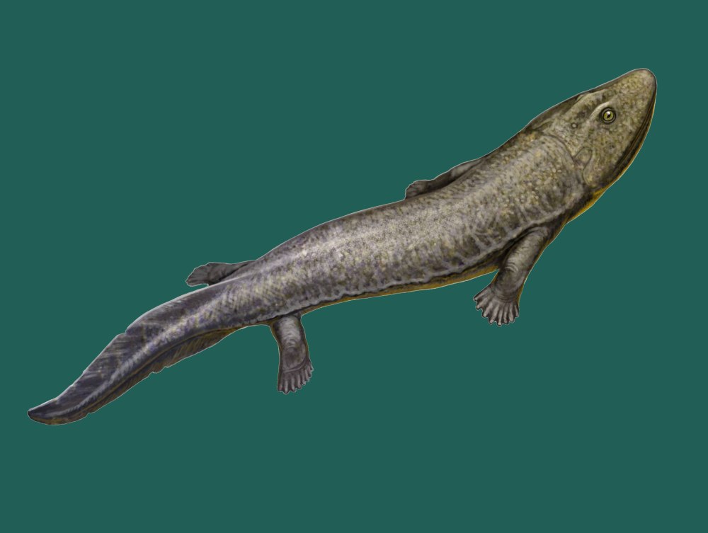 Jakubsonia livnensis