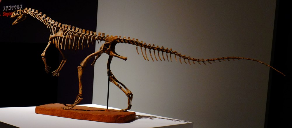 Asilisaurus Kongwe