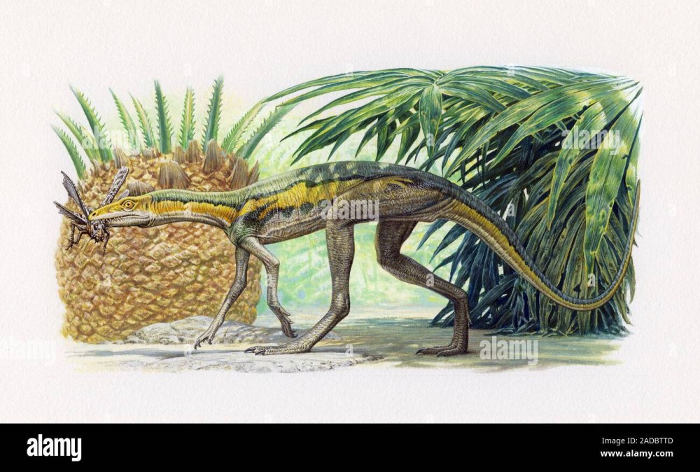 Lagosuchus talampayensis