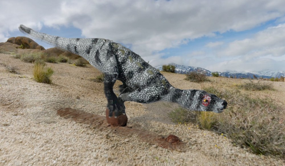 Asilisaurus Kongwe