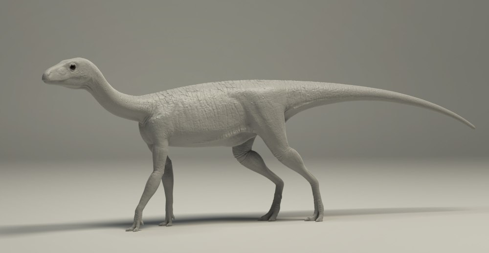 Silesaurus opolensis