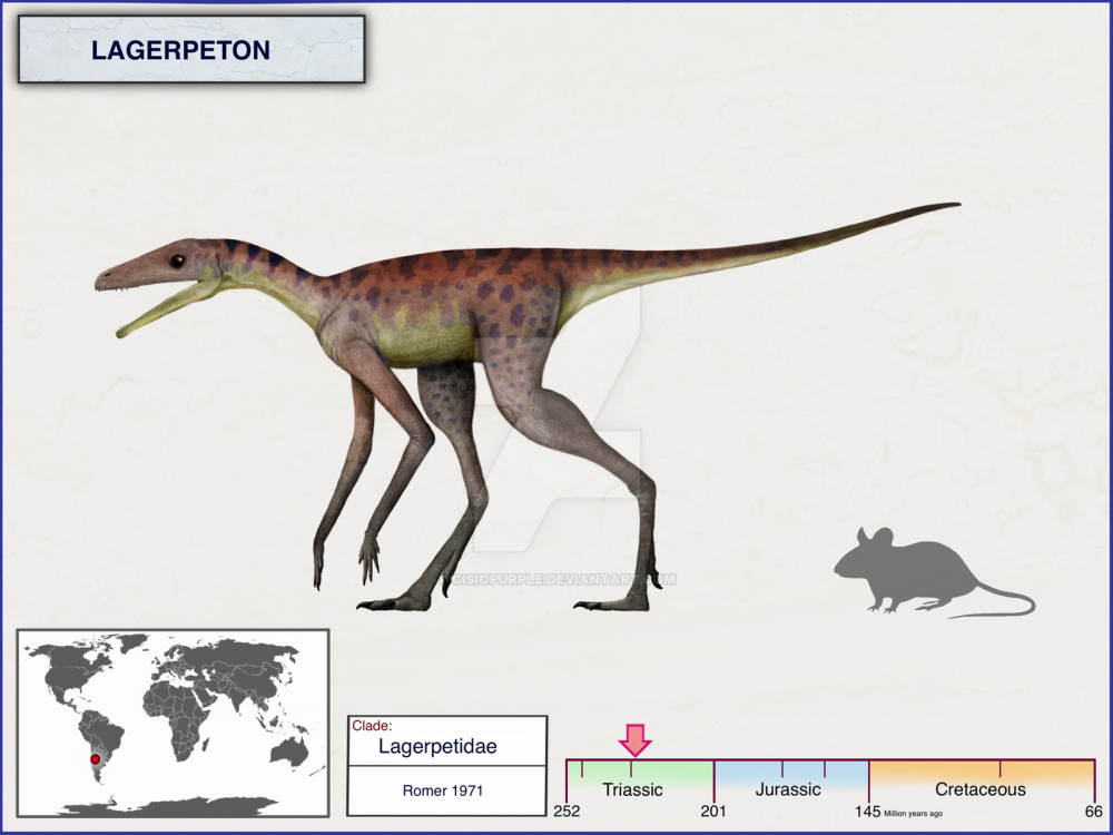 Troodon cisiopurple