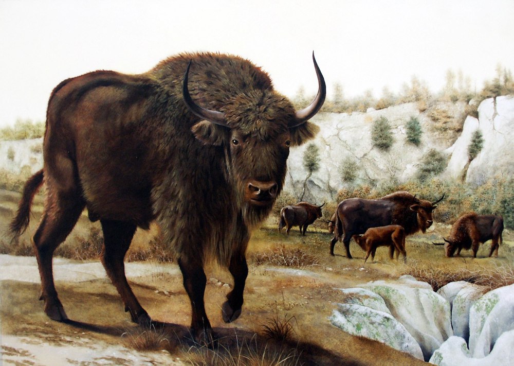 Степной Бизон Bison Priscus