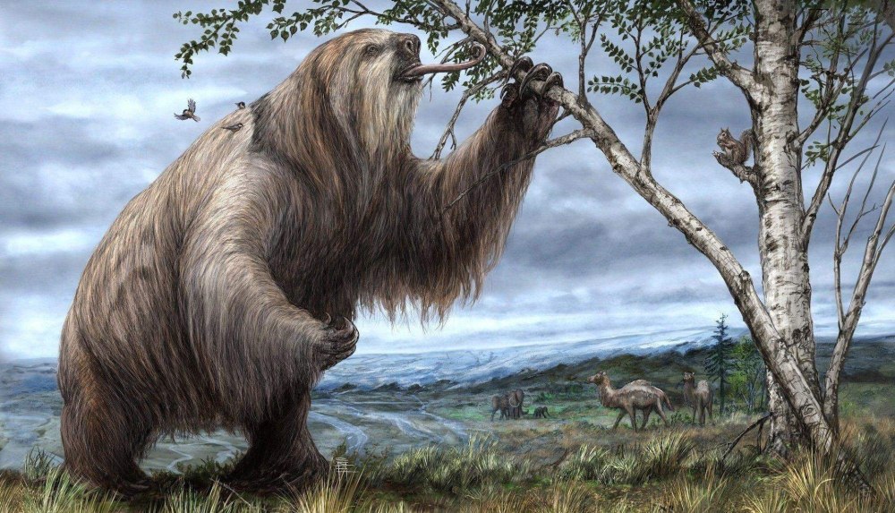 Гигантский Ленивец МЕГАТЕРИЙ