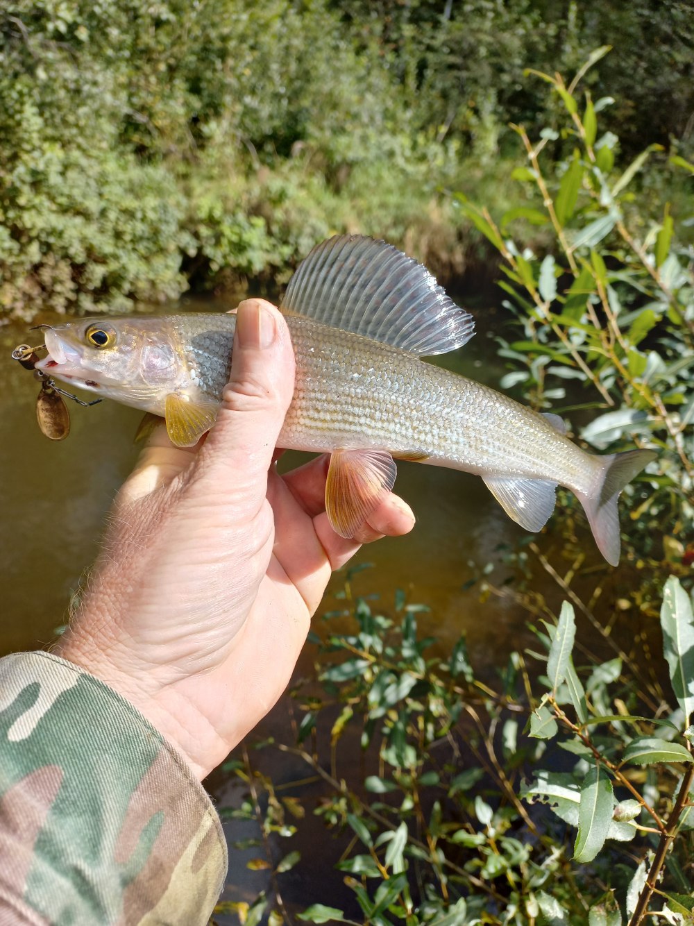 Места в Ижевске где есть рыбы за 100 (10