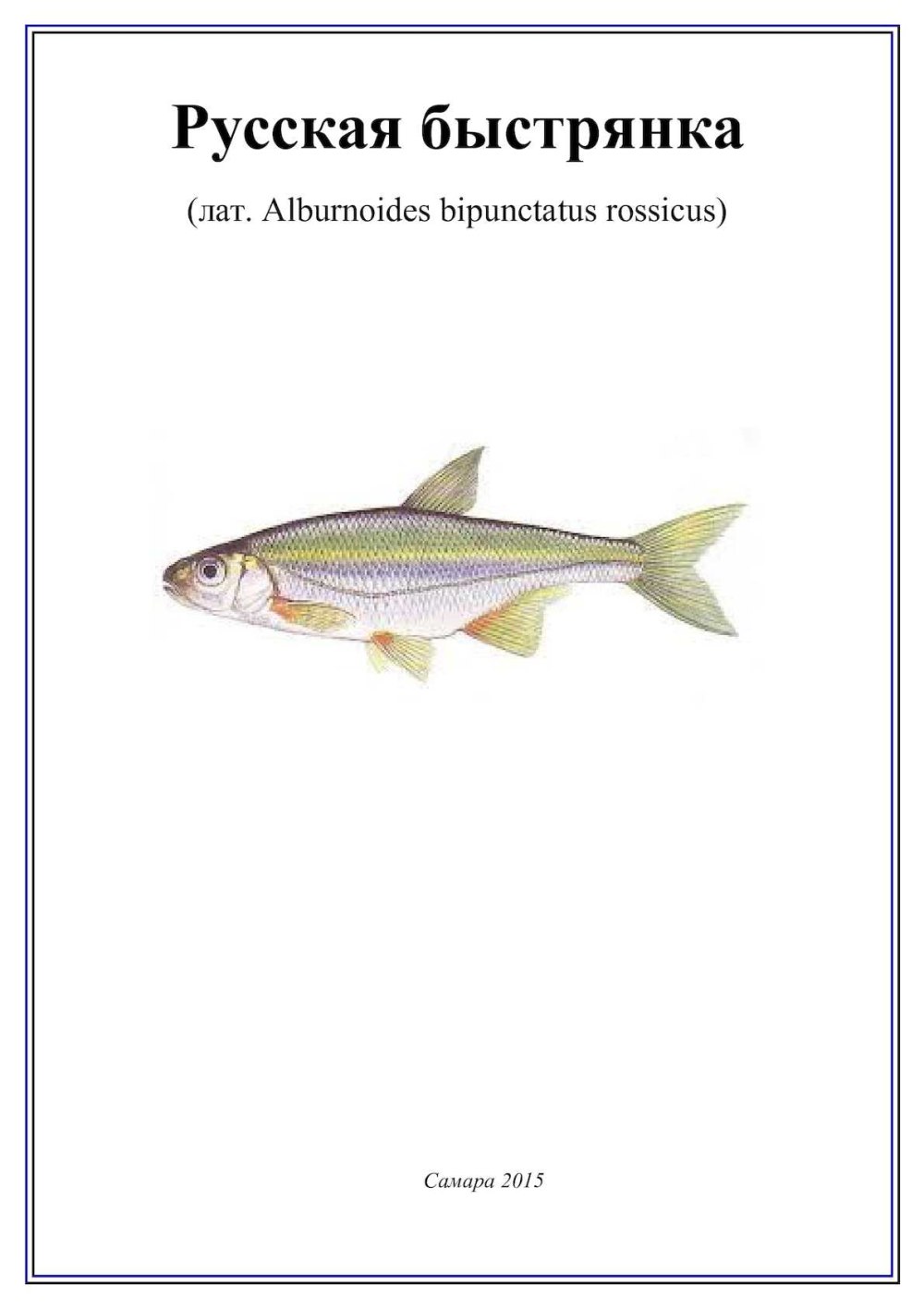 Русская Быстрянка (Alburnoides rossicus (Alburnoides bipunctatus)) в красной книге