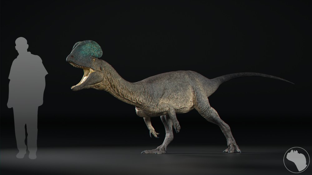 Dilophosaurus wetherilli